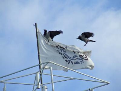 Прикрепленное изображение: DSCF6254.jpg